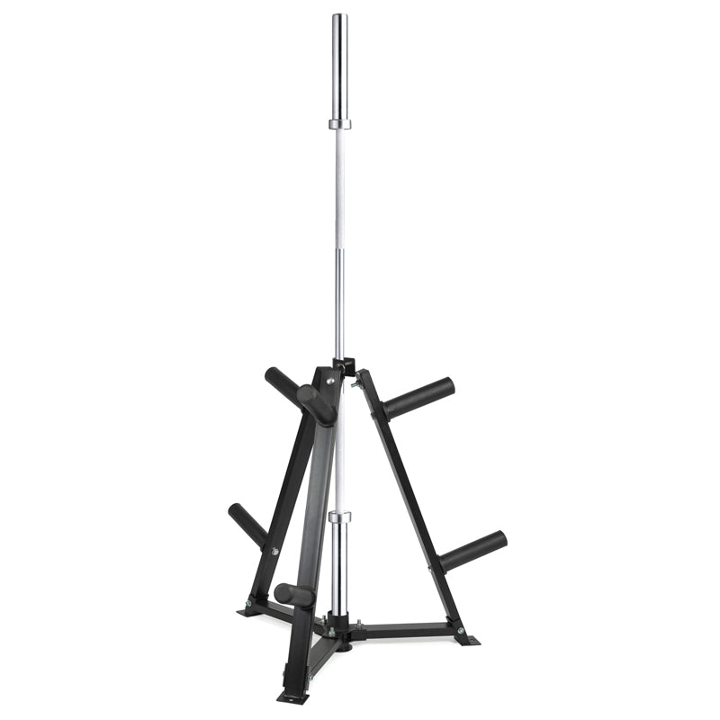 Heavy-Duty Vertical Weight Disc & Dumbbell Storage Rack - 300kg Capacity with 6 Fasten Clamps - Compact Space-Saving Design for Home Gym - 5cm Olympic Plate & Weight Organiser - Steel Frame