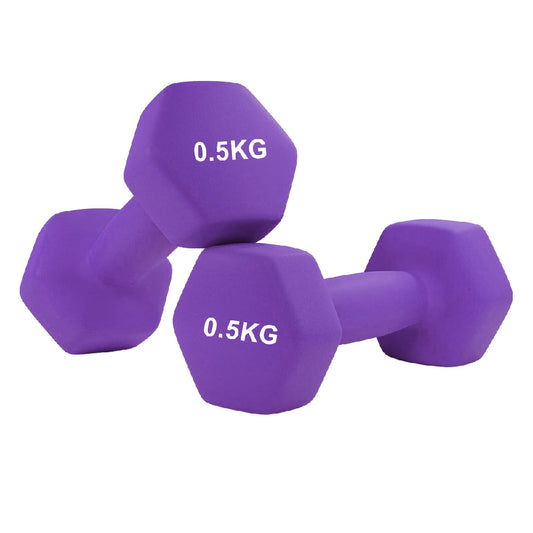 Purple dumbbells with '0.5KG' marking on a white background