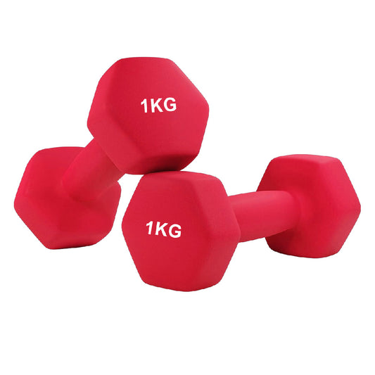 Two red dumbbells labeled '1KG' on a white background