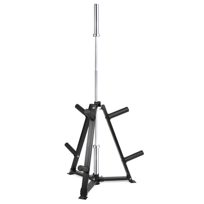 Heavy-Duty Vertical Weight Disc & Dumbbell Storage Rack - 300kg Capacity with 6 Fasten Clamps - Compact Space-Saving Design for Home Gym - 5cm Olympic Plate & Weight Organiser - Steel Frame