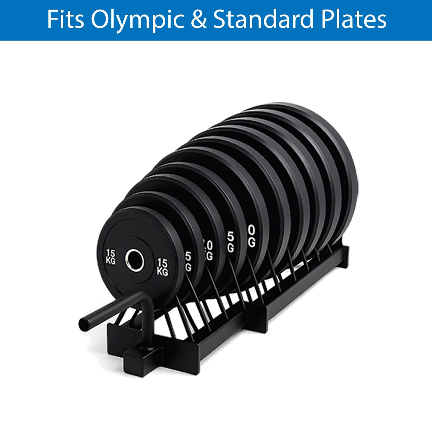 Extended Weight Plate Storage Rack